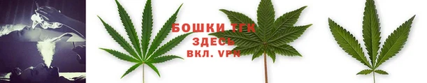тгк Козловка